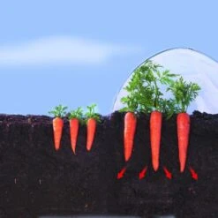 Kweekfolie / Tunnelfolie - 2 × 10 M -Tuinonderhoud Buiten Korting 1534088192 2 600