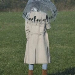 ESSCHERT DESIGN Paraplu Transparant Vogels Op Draad -Tuinonderhoud Buiten Korting 1583744711 4 600