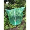 Bessenstruikjurk Botra XTRA XL - 150 × 150 Cm -Tuinonderhoud Buiten Korting 1653290711 1 600