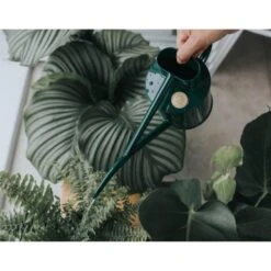 Haws Kamerplantengieter The Fazeley Flow 1 L - Groen -Tuinonderhoud Buiten Korting 1686734925 3 600