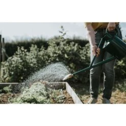 Haws Gieter The Warley Fall Groen - 8,8 L 7 Haws Gieter The Warley Fall Groen - 8,8 L -Tuinonderhoud Buiten Korting 1686737379 2 600