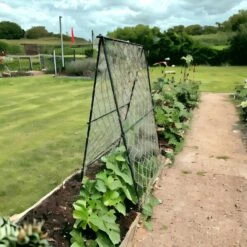 Klimframe Voor Bonen - 100 X 180 Cm -Tuinonderhoud Buiten Korting 1715685228 2 600