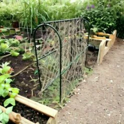 Hoepel Voor Erwten - 100 X 30 X 100 Cm 7 Hoepel Voor Erwten - 100 X 30 X 100 Cm -Tuinonderhoud Buiten Korting 1715685287 3 600