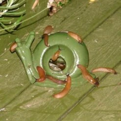 ESSCHERT DESIGN Slakkenval Keramiek - Groen 7 ESSCHERT DESIGN Slakkenval Keramiek - Groen -Tuinonderhoud Buiten Korting actie super slakkenval 1484052737 1 600