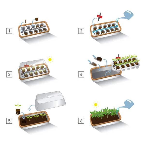 Binnenkas BoQube Plus Met Groelicht - 41 × 17 × 23 Cm 8 Binnenkas BoQube Plus Met Groelicht - 41 × 17 × 23 Cm - Afbeelding 6