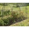 Fruitkooi Lang 3 × 1 × 1,5 M -Tuinonderhoud Buiten Korting fruitkooi 3 x 1 x 15m 1484054956 1 600