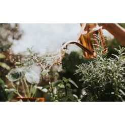 Haws Gieter 1 L - Koper 8 Haws Gieter 1 L - Koper -Tuinonderhoud Buiten Korting gieter haws 1 l koper 1659089480 2 600