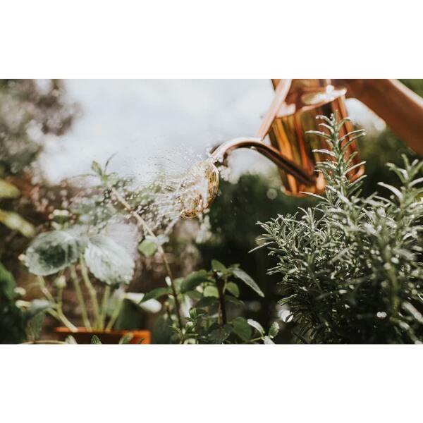 Haws Gieter 1 L - Koper 5 Haws Gieter 1 L - Koper - Afbeelding 3