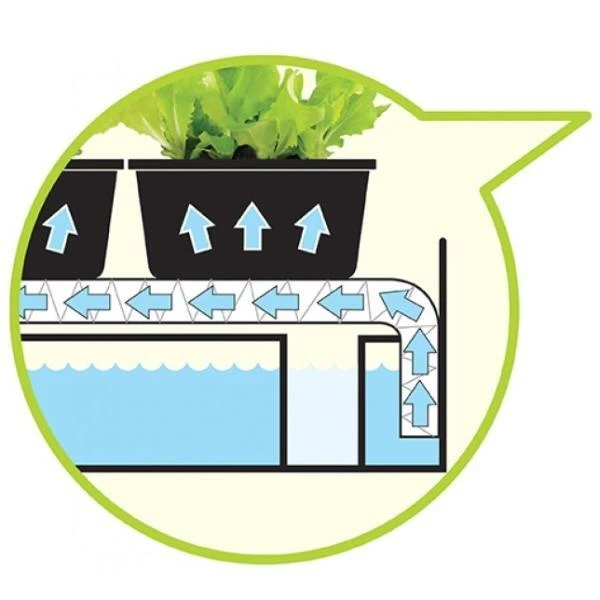 Groeilicht Met Kweekset - Zwart 5 Groeilicht Met Kweekset - Zwart - Afbeelding 3