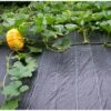 Gronddoek 2 M × 5 M (90 G/m²) -Tuinonderhoud Buiten Korting gronddoek 2 m x 5 m 100gm 1553159982 1 600