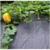 Gronddoek 3 × 6 M (90 G/m²) 1 Gronddoek 3 × 6 M (90 G/m²) -Tuinonderhoud Buiten Korting gronddoek 3 x 6 m 90 gm 1615194890 1 600