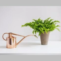 Haws Giftbox Gieter En Vernevelaar - Koper -Tuinonderhoud Buiten Korting haws giftbox koper 1485175232 0 600