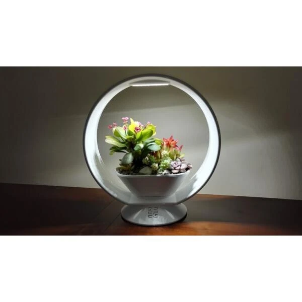 Mini Tuin Jardin Secret Met Verlichting En Bluetooth - Rond 4 Mini Tuin Jardin Secret Met Verlichting En Bluetooth - Rond - Afbeelding 2