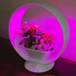 Mini Tuin Jardin Secret Met Verlichting En Bluetooth - Rond 7 Mini Tuin Jardin Secret Met Verlichting En Bluetooth - Rond -Tuinonderhoud Buiten Korting jardin secret met bluetooth rond 1602065218 3 600