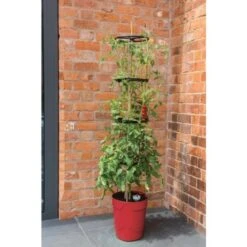 Tomatentoren Met Bewateringssysteem - 150 Cm 11 Tomatentoren Met Bewateringssysteem - 150 Cm -Tuinonderhoud Buiten Korting klimplantentoren met bewateringssysteem 1519074088 1 600