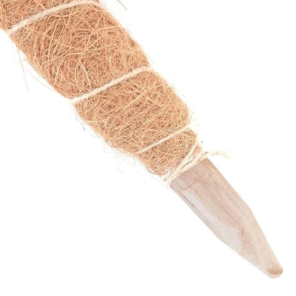 Kokos Kamerplantensteun - Plantstok Ø45 Mm × 1,2 M 4 Kokos Kamerplantensteun - Plantstok Ø45 Mm × 1,2 M - Afbeelding 2