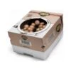Kweekset 7,5 Liter Bruine Champignons -Tuinonderhoud Buiten Korting kweekset bruine champignons 1484067274 1 600