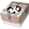 Kweekset 7,5 Liter Witte Champignons 1 Kweekset 7,5 Liter Witte Champignons -Tuinonderhoud Buiten Korting kweekset witte champignons 3 l 1486032924 0 600
