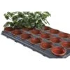 Tray Met 18 Ronde Kweekpotten 9 Cm 1 Tray Met 18 Ronde Kweekpotten 9 Cm -Tuinonderhoud Buiten Korting kweektray 18 potten 9 cm 1484055982 1 600