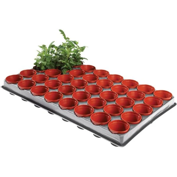 Tray Met 40 Kweekpotjes 6 Cm 5 Tray Met 40 Kweekpotjes 6 Cm - Afbeelding 3