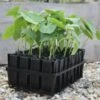Kweektray Deep Roots - 32 Cellen 1 Kweektray Deep Roots - 32 Cellen -Tuinonderhoud Buiten Korting kweektray deep roots 32 cellen 1487673472 0 600