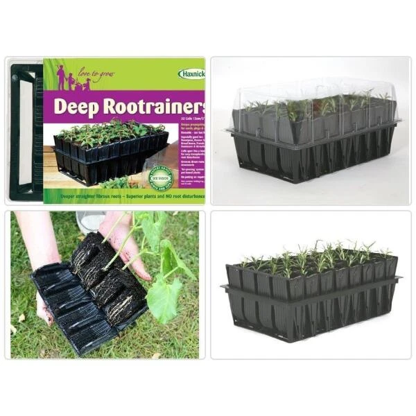 Kweektray Deep Roots - 32 Cellen 8 Kweektray Deep Roots - 32 Cellen - Afbeelding 6