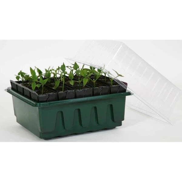 Kweektray Compact Rapid Root - 20 Cellen 3 Kweektray Compact Rapid Root - 20 Cellen