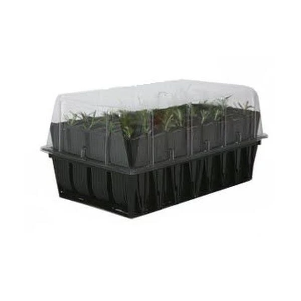 Kweektray Rapid Roots - 32 Cellen 6 Kweektray Rapid Roots - 32 Cellen - Afbeelding 5
