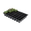 Kweektrays 40 Cellen - Professioneel - Set Van 5 Stuks -Tuinonderhoud Buiten Korting kweektrays 40 cellen professioneel 1497949475 1 600