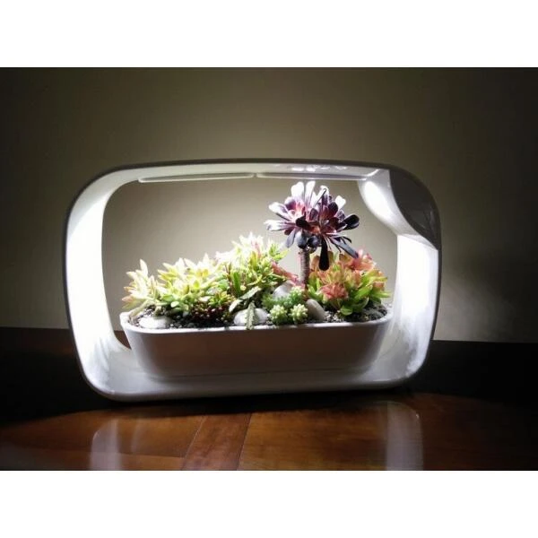 Mini Tuin Jardin Secret Met Ledverlichting En Bluetooth - Rechthoek 4 Mini Tuin Jardin Secret Met Ledverlichting En Bluetooth - Rechthoek - Afbeelding 2