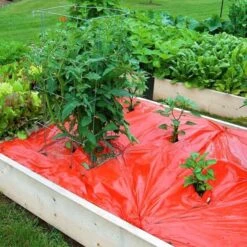 Rode Folie Voor Een Betere Plantengroei -Tuinonderhoud Buiten Korting mulchfolie 1577621986 1 600