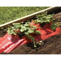 Rode Folie Voor Een Betere Plantengroei -Tuinonderhoud Buiten Korting mulchfolie rood aardbeien en tomaten 1492072043 1 600