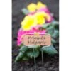 Plantenlabels Koperplaatjes - Set Van 5 Stuks 1 Plantenlabels Koperplaatjes - Set Van 5 Stuks -Tuinonderhoud Buiten Korting plantenlabel verzinkt 1486564763 0 600