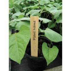 Plantenlabels Hout - 10 Cm - Set Van 10 Stuks -Tuinonderhoud Buiten Korting plantenlabels hout 10 cm 1608553933 2 600
