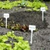 Plantenbordjes Extra Hoog - Set Van 5 Stuks -Tuinonderhoud Buiten Korting plantenlabels wit 1484056717 1 600
