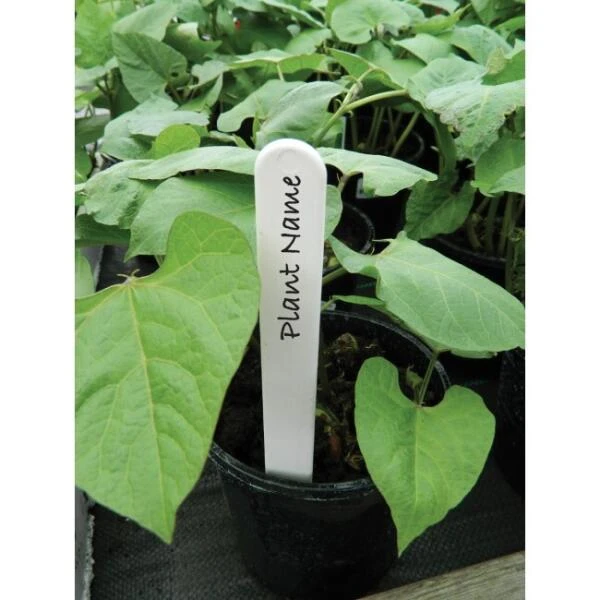 Plantenlabels Wit Kunststof - 20 Cm - Set Van 20 Stuks 4 Plantenlabels Wit Kunststof - 20 Cm - Set Van 20 Stuks - Afbeelding 2