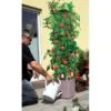 Plantentoren Maxitom Met Waterreservoir - Antraciet 1 Plantentoren Maxitom Met Waterreservoir - Antraciet -Tuinonderhoud Buiten Korting plantentoren maxitom antraciet 1677571235 1 600