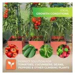 Plantentoren Maxitom Met Waterreservoir - Terracotta -Tuinonderhoud Buiten Korting plantentoren maxitom terracotta 1677568602 1 600