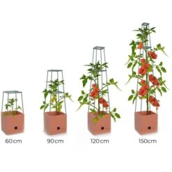 Plantentoren Maxitom Met Waterreservoir - Terracotta -Tuinonderhoud Buiten Korting plantentoren maxitom terracotta 1680165024 1 600