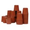 Kweekpotjes Rond Kunststof - 6 Cm - Set Van 40 Stuks -Tuinonderhoud Buiten Korting plastic potjes 6 cm 1484055450 1 600
