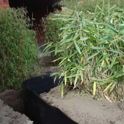 Rootblock Professionele Wortelwering 60 Cm Hoog - / Strekkende Meter 9 Rootblock Professionele Wortelwering 60 Cm Hoog - / Strekkende Meter -Tuinonderhoud Buiten Korting rootblock professionele wortelwering 1552733360 3 600