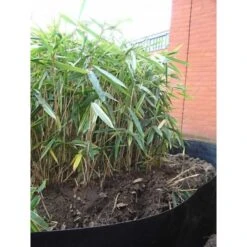 Rootblock Professionele Wortelwering 60 Cm Hoog - / Strekkende Meter 11 Rootblock Professionele Wortelwering 60 Cm Hoog - / Strekkende Meter -Tuinonderhoud Buiten Korting rootblock professionele wortelwering 1552733360 5 600