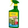 Ecostyle Savo-Net Spray Insecticide Tegen Luizen - 750 Ml 1 Ecostyle Savo-Net Spray Insecticide Tegen Luizen - 750 Ml -Tuinonderhoud Buiten Korting savonet spray insecticide 750 ml 1594991347 1 600