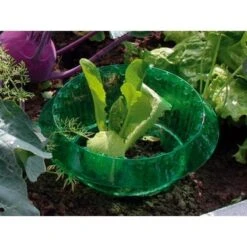 Slakken Beschermringen - Set Van 6 Stuks 7 Slakken Beschermringen - Set Van 6 Stuks -Tuinonderhoud Buiten Korting slakken beschermingsringen 1484053655 3 600