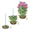 Steunringen Voor Planten Ø 30 Cm - Kunststof - Set Van 2 Stuks
