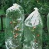 Tomatenhoezen 10 × 0,65 M -Tuinonderhoud Buiten Korting tomatenhoezen 10 x 065 m 1484053065 1 600