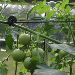 Tree-fix Boombinder 8 Cm - Set Van 50 Stuks 10 Tree-fix Boombinder 8 Cm - Set Van 50 Stuks -Tuinonderhoud Buiten Korting treefix boombinder 8 cm 1547125995 3 600