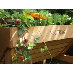 Vegtrug Verhoogde Kweektafel - 1 × 0,8 × 0,8 M 9 Vegtrug Verhoogde Kweektafel - 1 × 0,8 × 0,8 M -Tuinonderhoud Buiten Korting vegtrug 1 m 1484054491 4 600