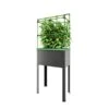 Verhoogd Kweekbak City Jungle Heidelberg Met Klimframe 1 Verhoogd Kweekbak City Jungle Heidelberg Met Klimframe -Tuinonderhoud Buiten Korting verhoogd plantenbed city jungle heidelberg 1677506551 1 600