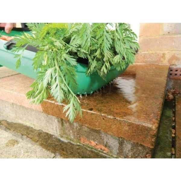 Verzamelmand - Groente En Fruit 7 Verzamelmand - Groente En Fruit - Afbeelding 5